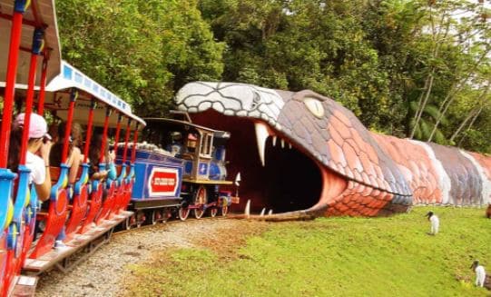 Disk'o Coaster é o novo brinquedo em construção no Parque Beto Carrero