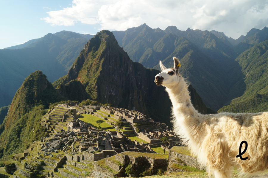 Machu Picchu: o que você precisa saber antes de viajar Machu Picchu: o que você precisa saber antes de viajar