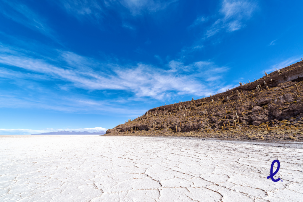viagem de ônibus pela América do Sul