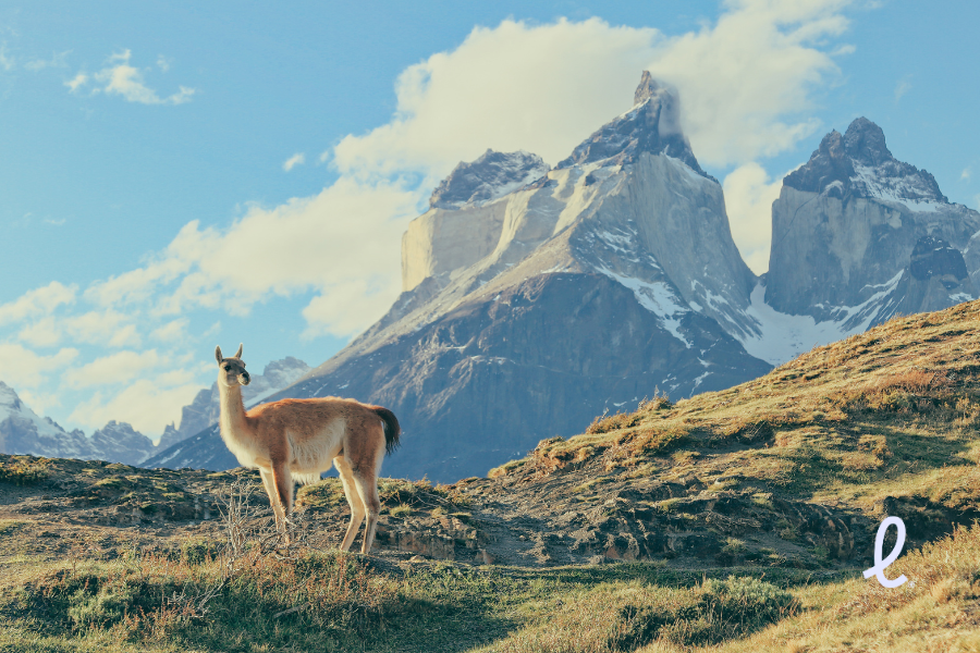 Pacotes Aéreos para o Chile: Viaje com a Livare Pacotes Aéreos para o Chile: Viaje com a Livare