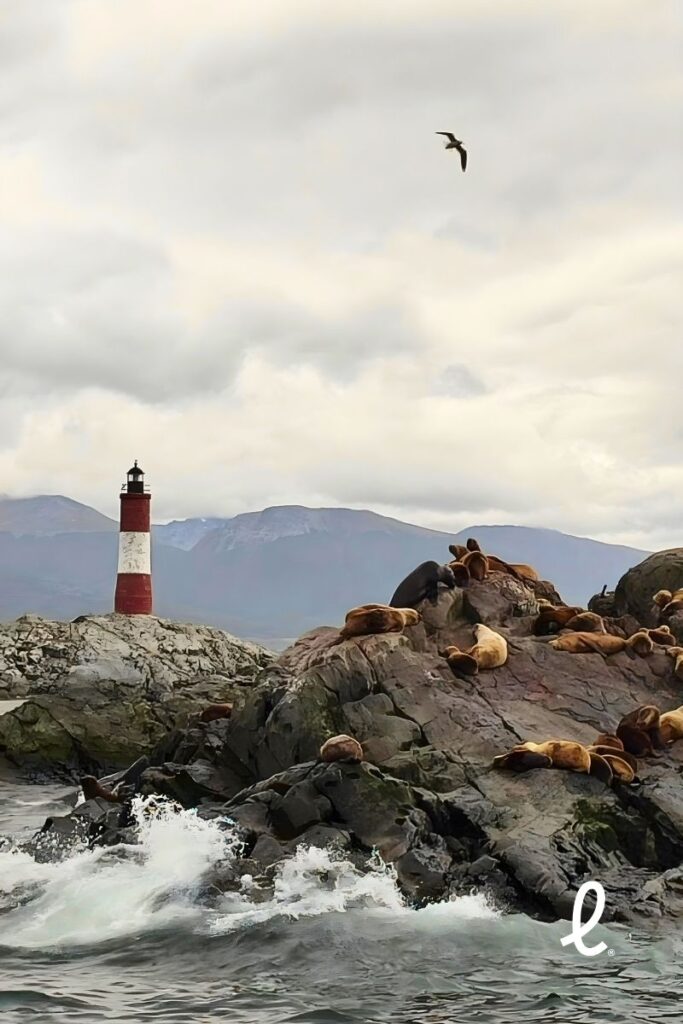 Farol e leões-marinhos em Ushuaia