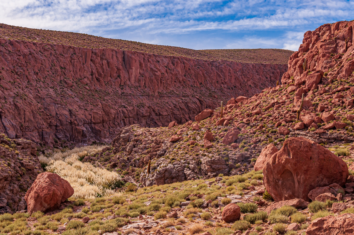 Piedras Rojas no Deserto do Atacama