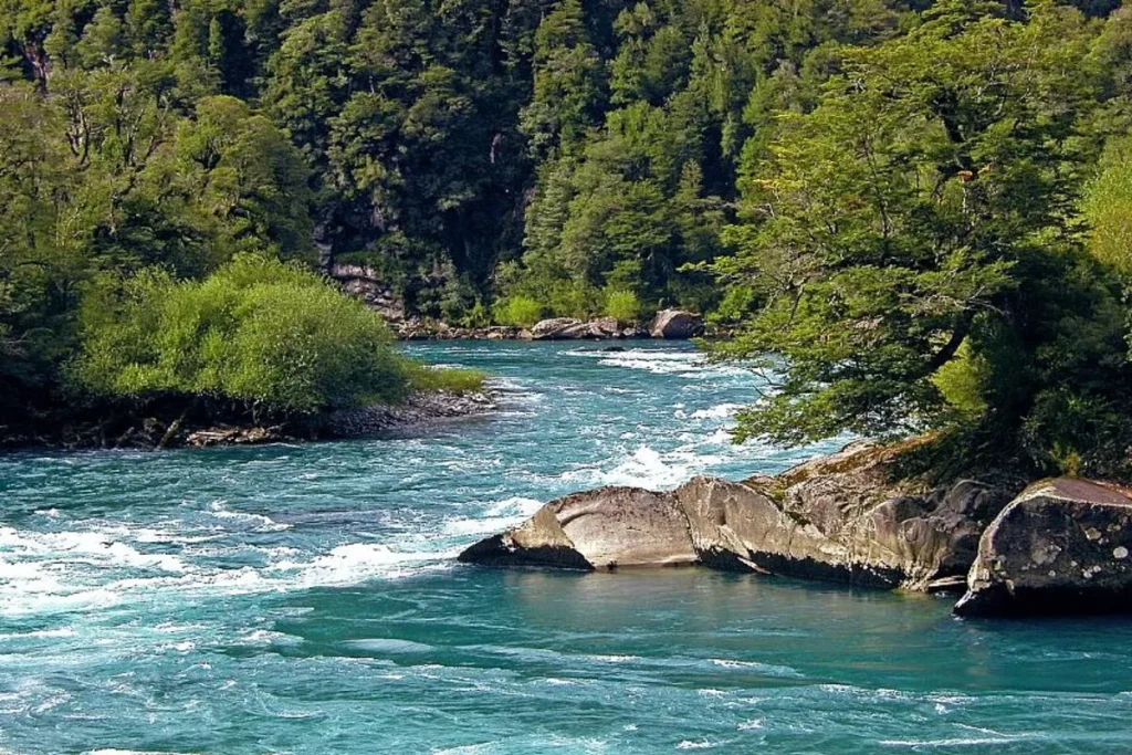Rio de águas cristalinas com correntezas e margens arborizadas, ideal para caiaque.