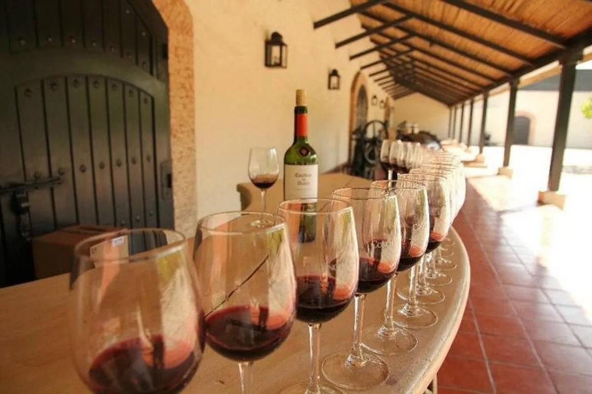 Vinícola Concha y Toro: conheça a grande estrela do enoturismo chileno