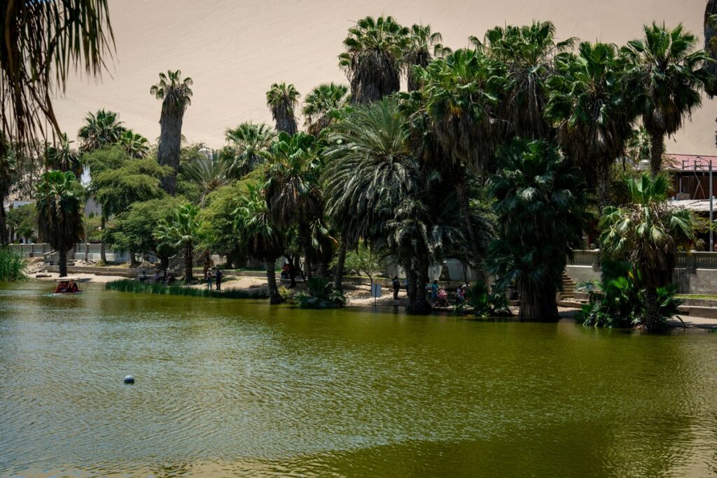 Lagoa do Oásis de Huacachina cercada por palmeiras e vegetação no meio do deserto do Peru.
