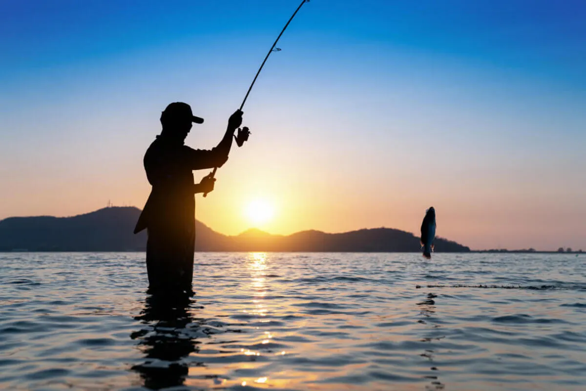 pesca esportiva, silhueta de pescador no lago capturando um peixe ao nascer ou pôr do sol.