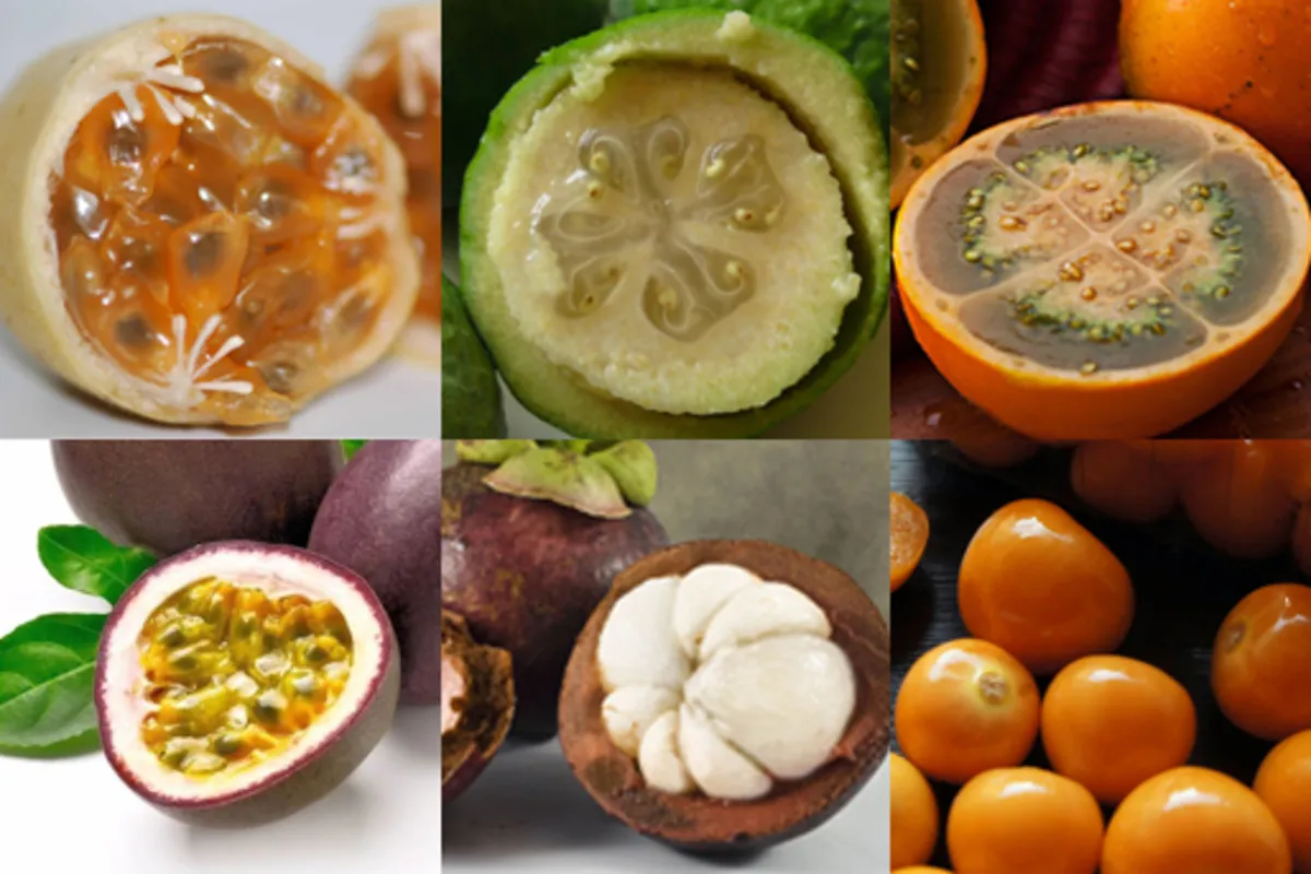 Mosaico de seis frutas tropicais exóticas cortadas, incluindo maracujá (polpa amarela e roxa), mangostin (polpa branca), physalis e uma fruta verde com polpa clara e sementes.