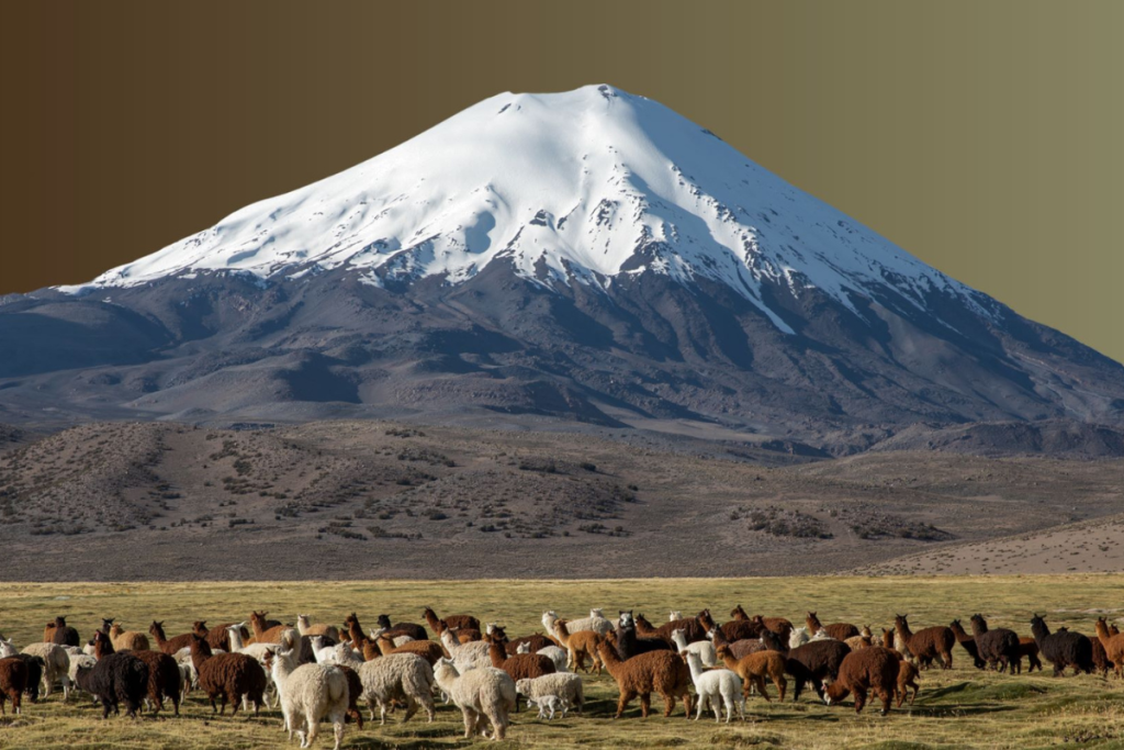 O que é o Altiplano Andino? Onde fica, altitude, clima e paisagens