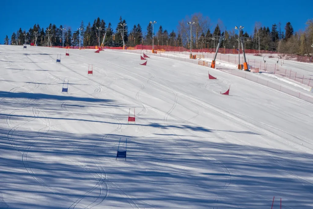 Cerro Catedral: tudo o que você precisa saber Pista de esqui preparada no Cerro Catedral em Bariloche com marcações na neve e céu azul ao fundo.