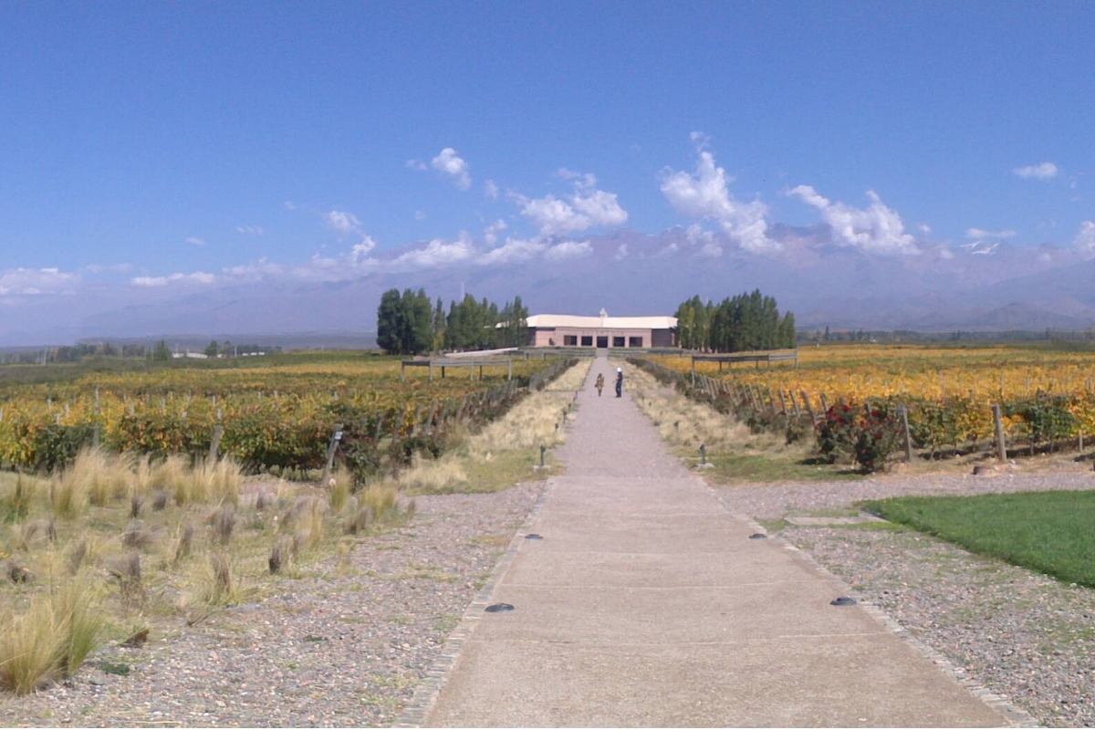 Vista panorâmica da Bodega Salentein com vinhedos e a Cordilheira dos Andes