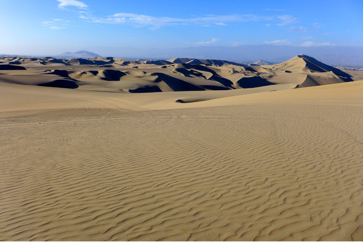 Campo Dunar de Concón, no Chile, com dunas costeiras e vegetação ao redor.