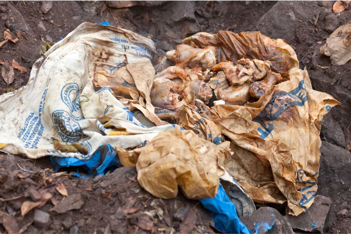 Preparo tradicional da pachamanca com pedras aquecidas e alimentos