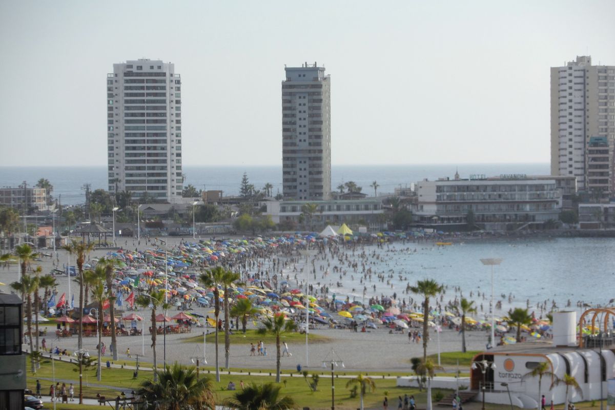 Vista da Praia Cavancha com banhistas, palmeiras e edifícios de Iquique
