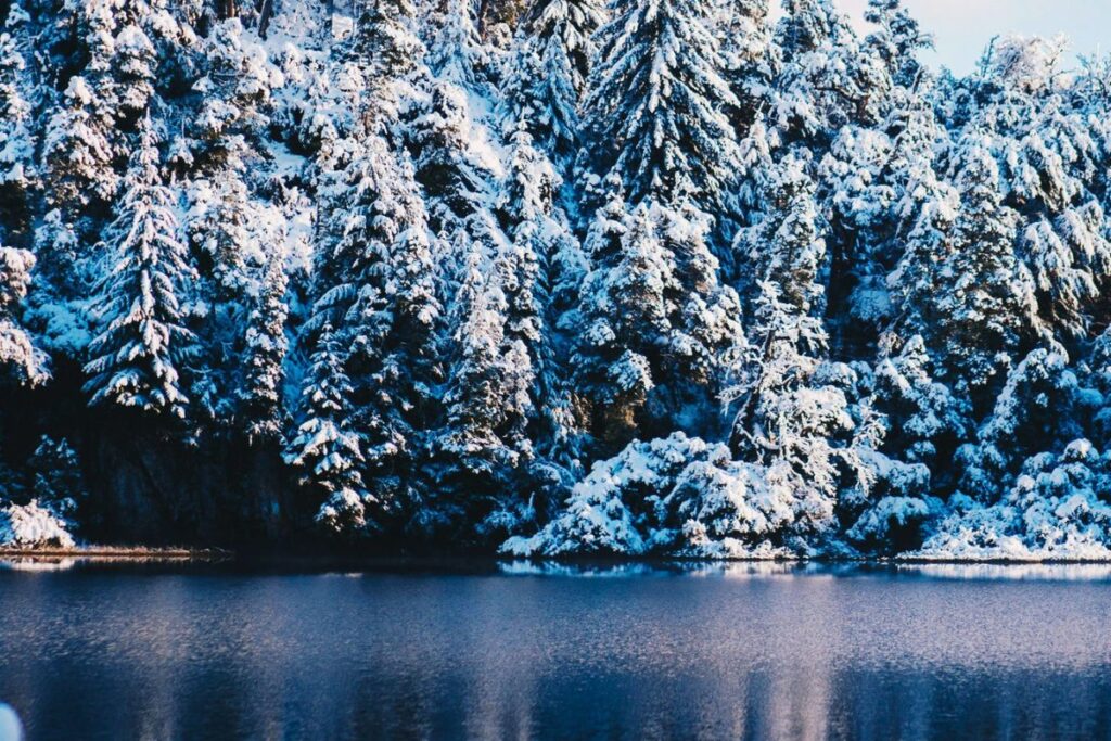 Expedição Bariloche: como aproveitar o melhor da cidade?