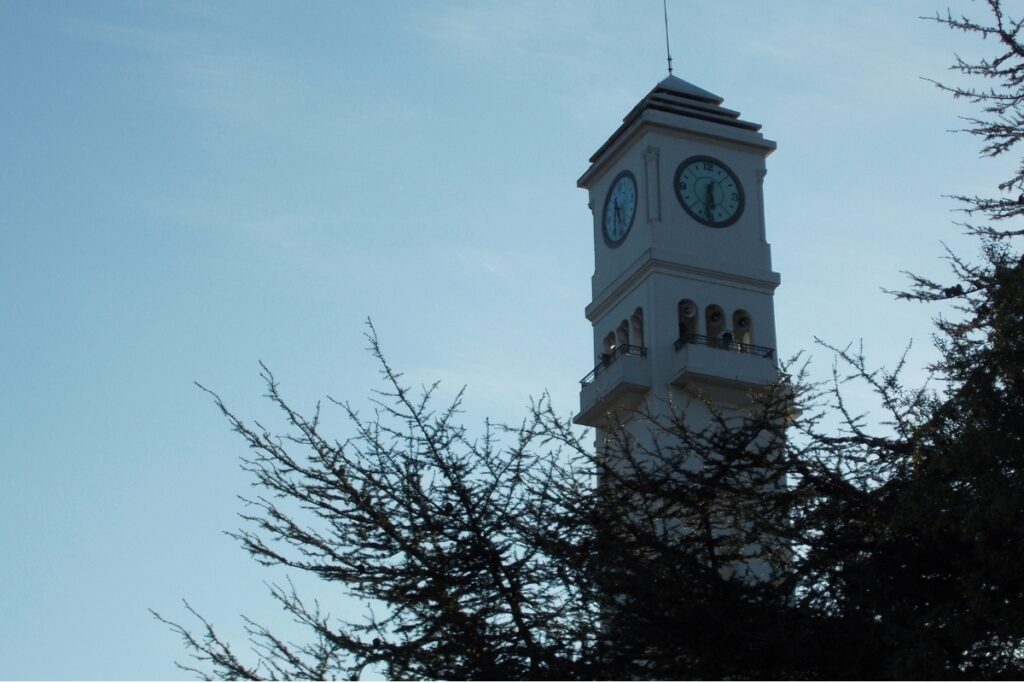 Torre do Campanil da Universidade de Concepción vista entre galhos de árvores.