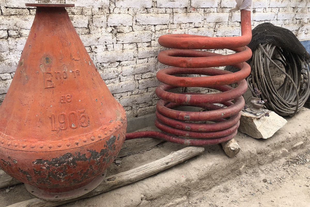 Guia completo de Pisco no Peru: o que é, tipos, regiões e como planejar a viagem