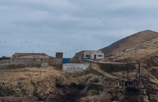 Ilhas Ballestas: como visitar saindo de Paracas no Peru