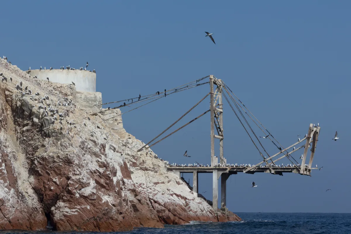 Estruturas ligadas ao guano em formação rochosa das Ilhas Ballestas, com aves marinhas