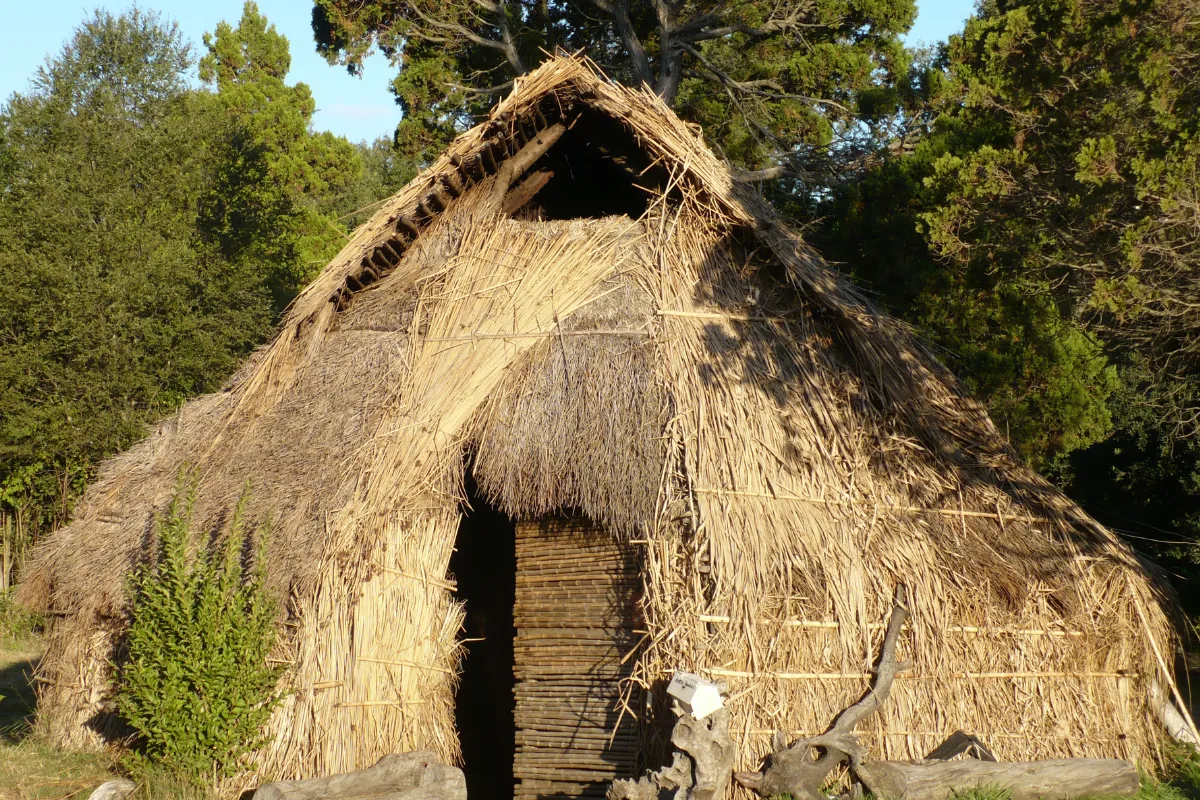 Mapuches no Chile: cultura, história e experiências para conhecer com respeito