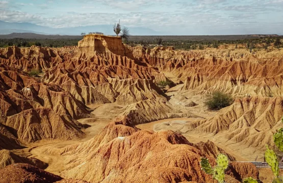 Deserto de la Tatacoa: como visitar saindo de Neiva na Colômbia