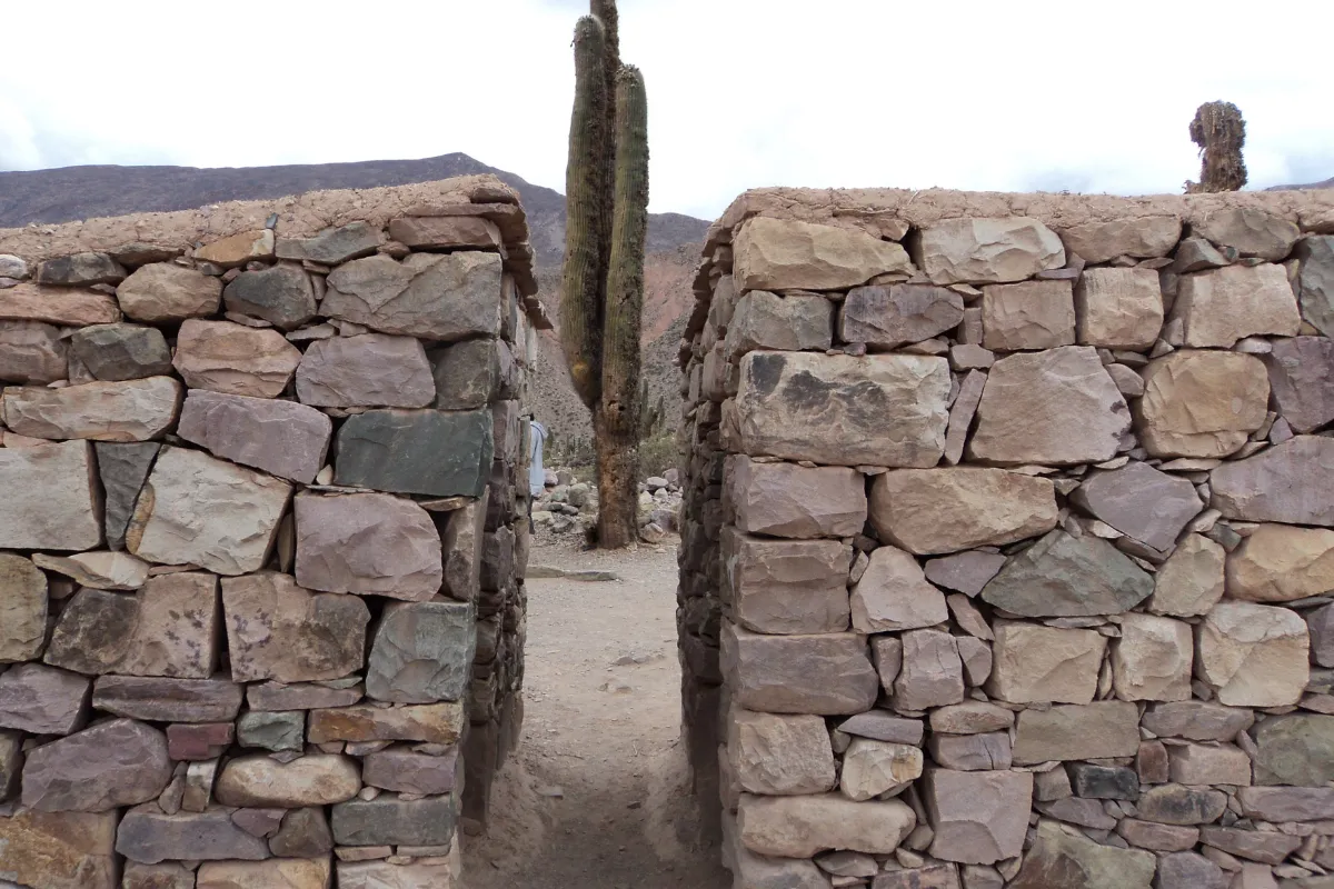 Muros de pedra e cardón no Pucará de Tilcara, em Jujuy