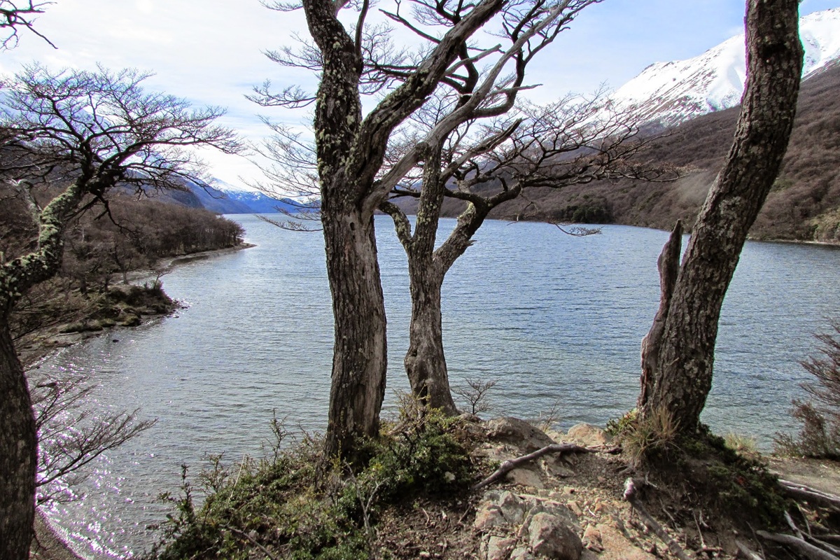 Lago del Desierto cercado por árvores e montanhas parcialmente nevadas na província de Santa Cruz, Argentina