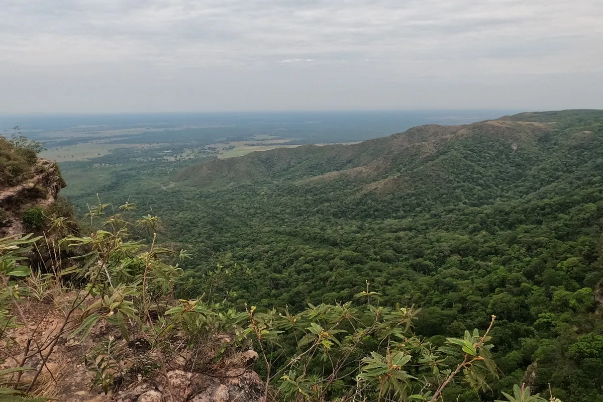 Vista do Mirante Geodésico da Chapada dos Guimarães, com vegetação e paredões do Cerrado em primeiro plano e a planície ao fundo.