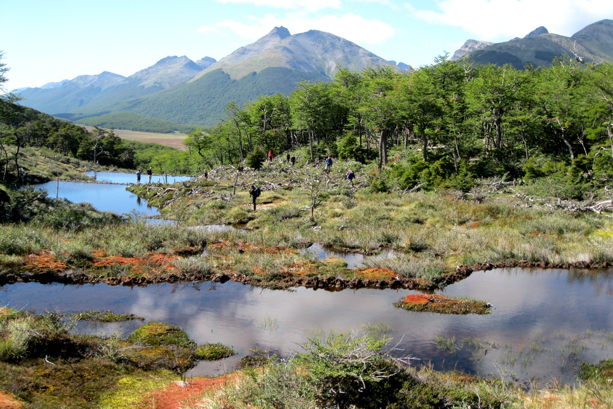 Caminhantes percorrem a trilha para a Laguna Esmeralda entre bosques, áreas úmidas e montanhas da Terra do Fogo.